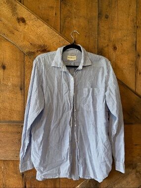 Ralph Lauren Blue and White Striped Button-Down Shirt